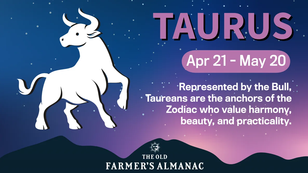 Ramalan Zodiak Taurus Desember 2025 – Ketenangan Setelah Kekacauan dan Refleksi Akhir Tahun